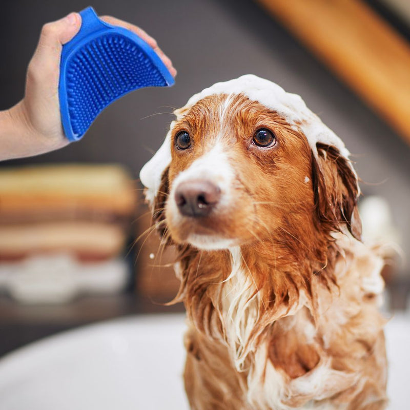 Escova Banho Massageadora Pet